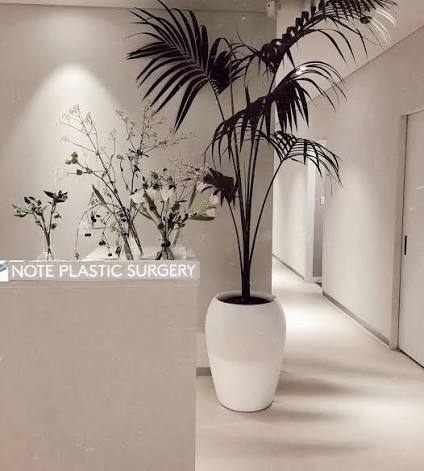 TL整形外科（TL Plastic Surgery）